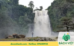 Giải đáp: Đất rừng phòng hộ là gì? Những điều cần nên biết về đất rừng phòng hộ