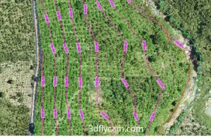 Thành lập mô hình 3D phục vụ thiết kế bằng flycam