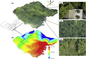 Ứng dụng Flycam trong quản lý lâm nghiệp