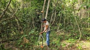 Dịch vụ Scan 3D nông lâm nghiệp