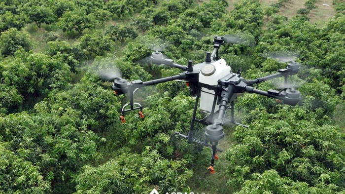 Phun Thuốc Sâu Bằng Flycam